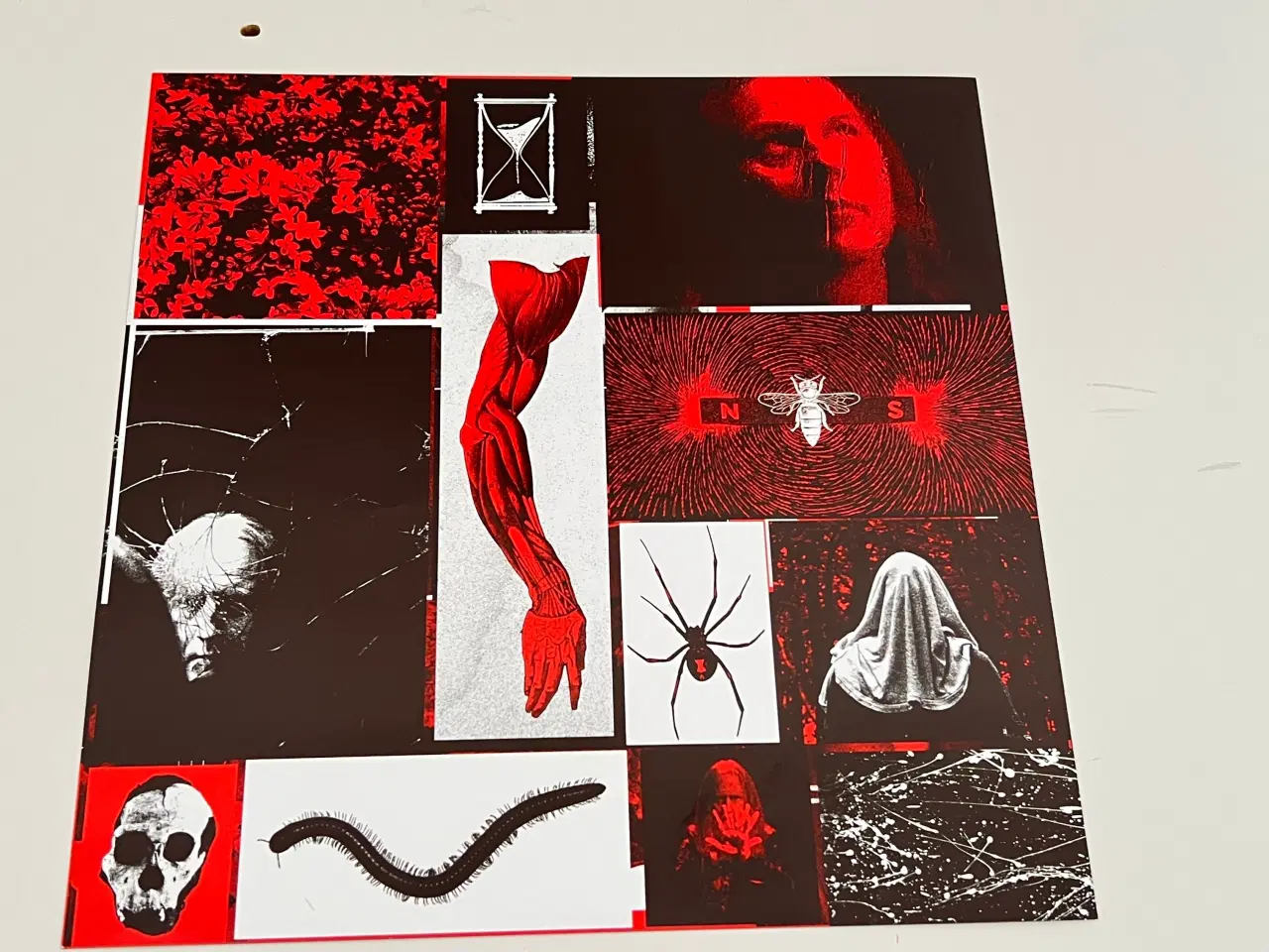 Billede 7 - Avril Lavigne/Jerry Cantrell