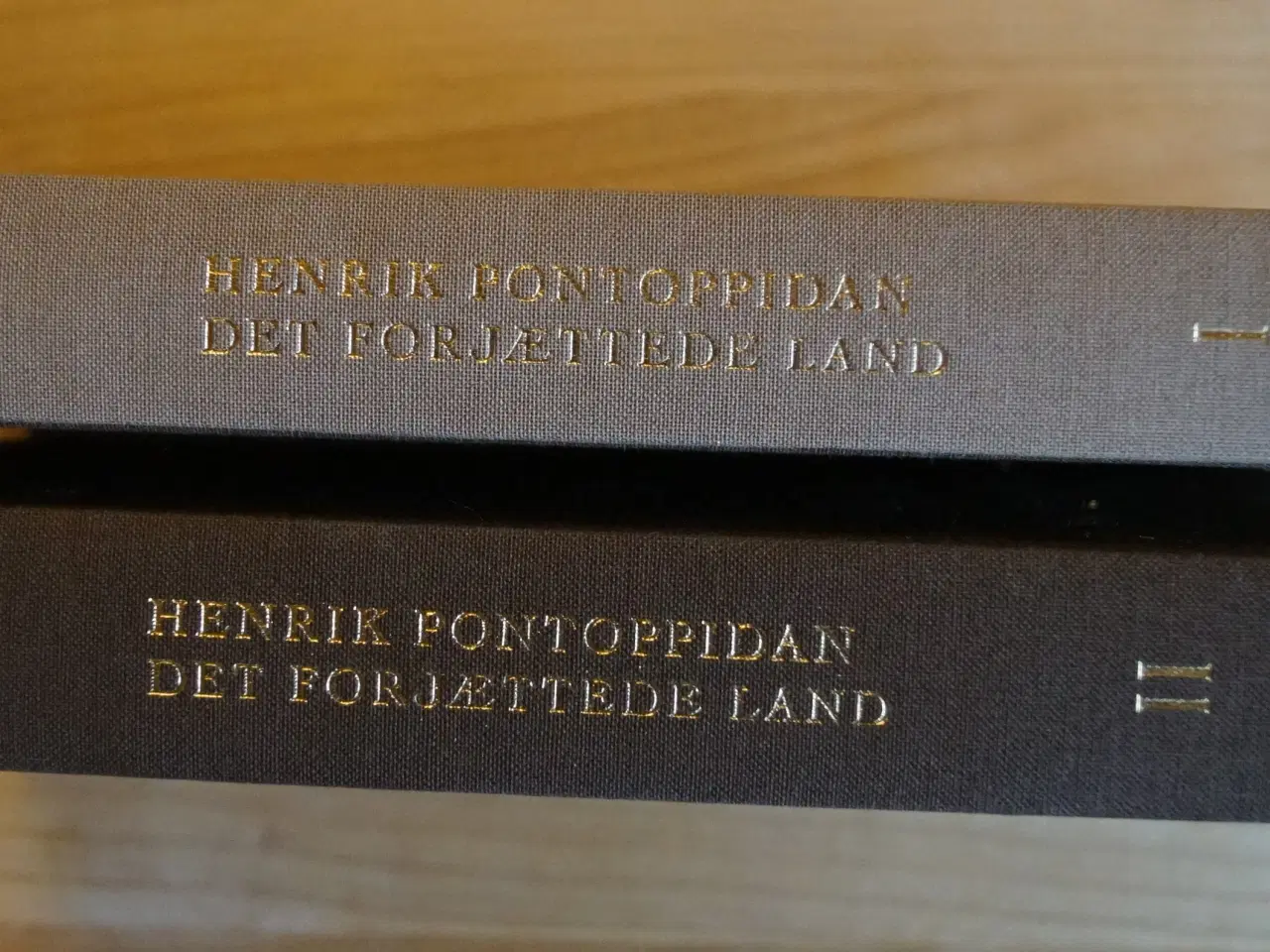 Billede 3 - Henrik Pontoppidan: Det forjættede land