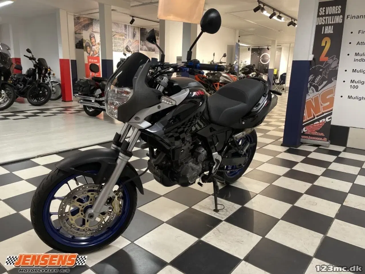 Billede 3 - Aprilia Pegaso 650