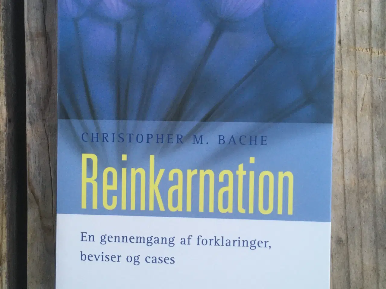 Billede 1 - Reinkarnation, Christopher M. Bache
