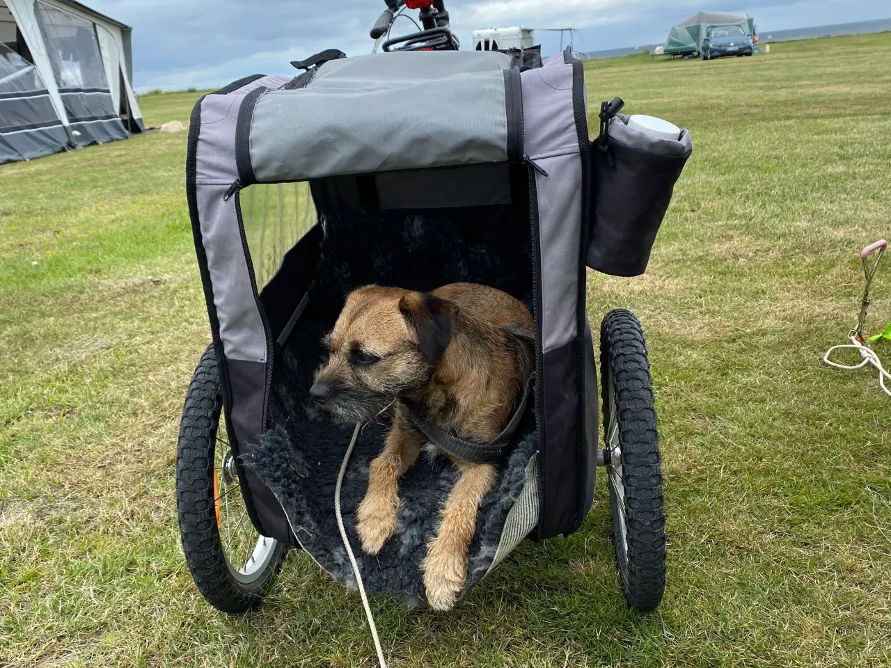 Billede 8 - Cykel trailer til mindre hund