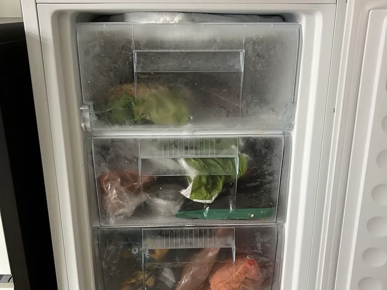 Billede 4 - Lille fryser fra Scandomestic inkl. drypbakke