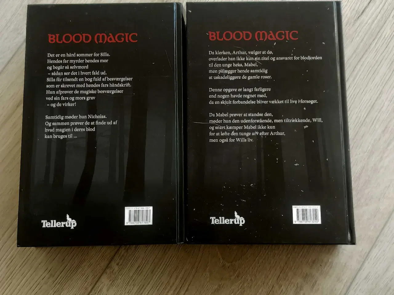 Billede 2 - Blood magic af Tessa Gratton 