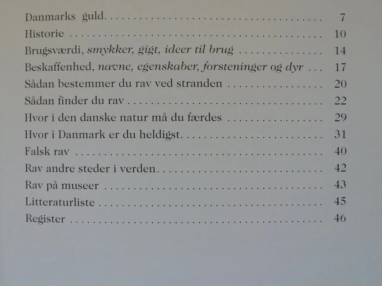 Billede 2 - rav - find det selv, af stefan hestnes, emne: ande