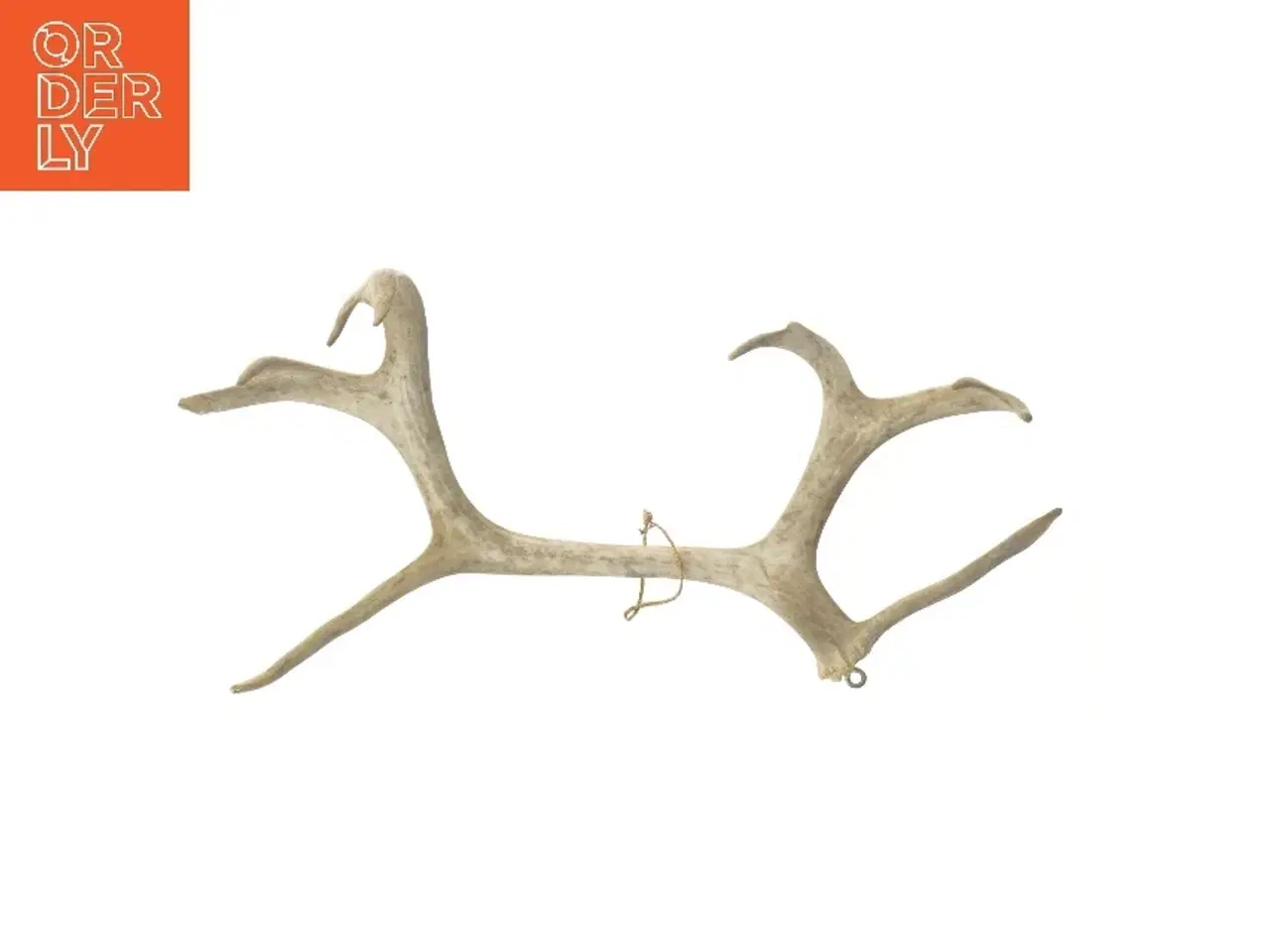 Billede 2 - Gevir (str. 42,5 cm)