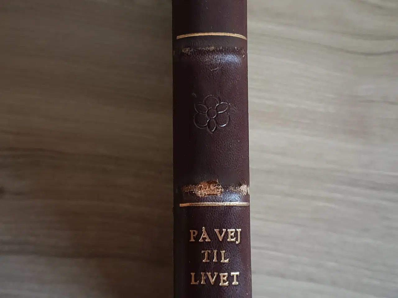 Billede 2 - Julius Bomholt: På vej til livet