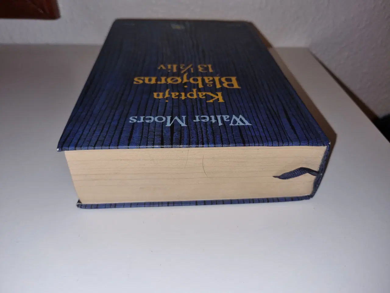 Billede 4 - Walter Moers - Kaptajn Blåbjørns 13 1/2 liv