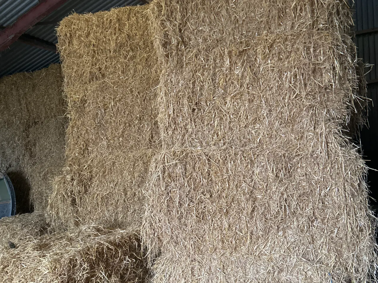 Billede 2 - Snittet byg halm