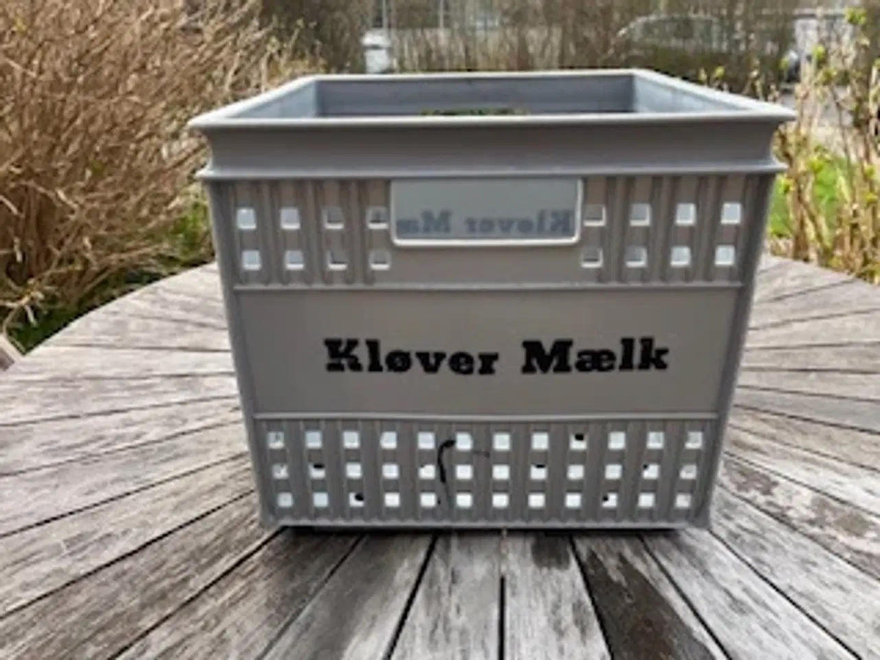 Billede 1 - Mælkekasse - Kløver Mælk