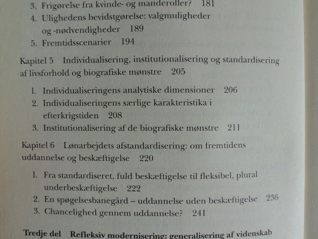 Billede 3 - risikosamfundet - på vej mod en ny modernitet, af 