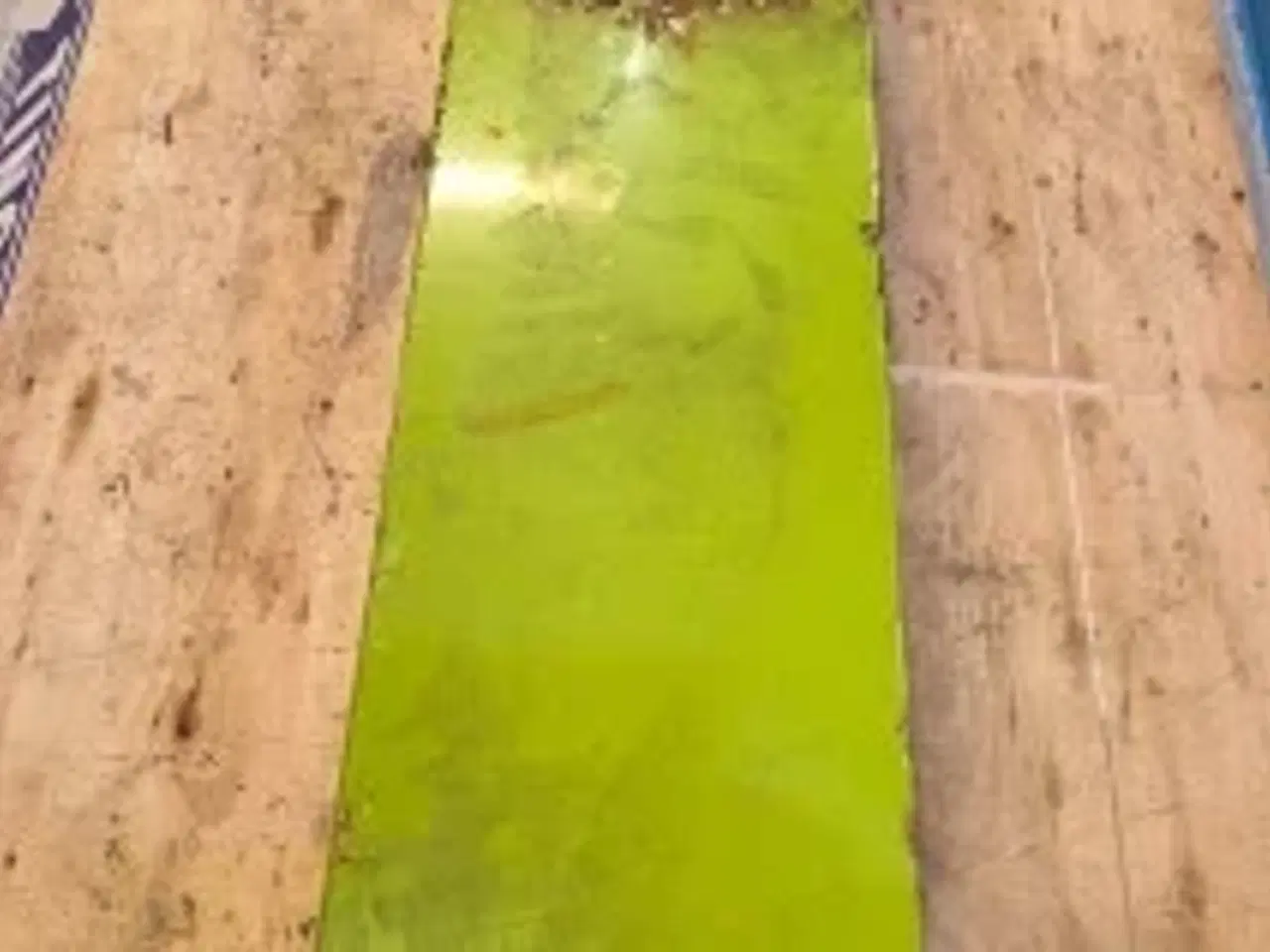 Billede 11 - Claas Dominator 88 Elevatorkasse 647725.1