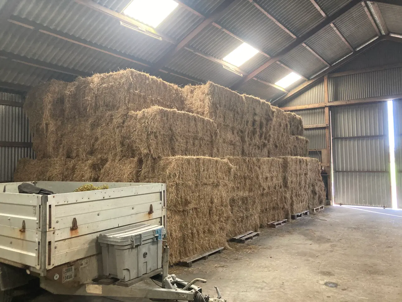 Billede 6 - Heste hø 