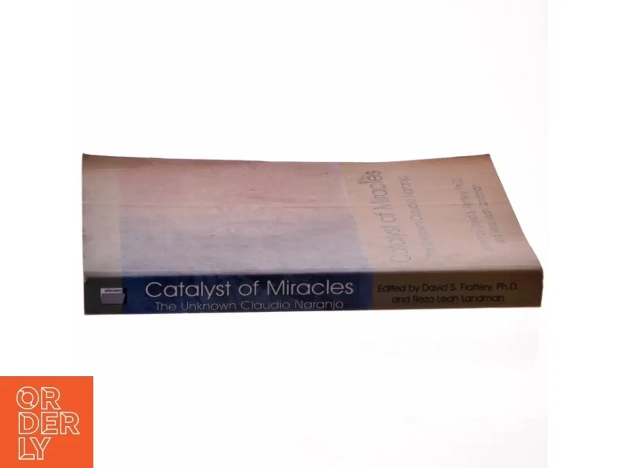 Billede 2 - Catalyst of Miracles af David S. Flattery (Bog)