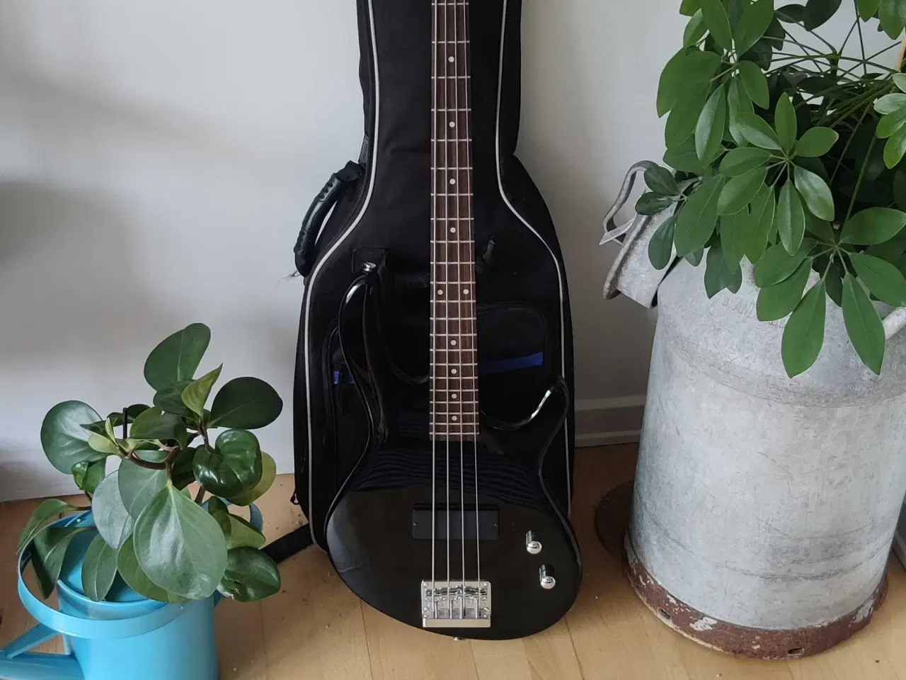 Billede 1 - Jr. Bass med taske
