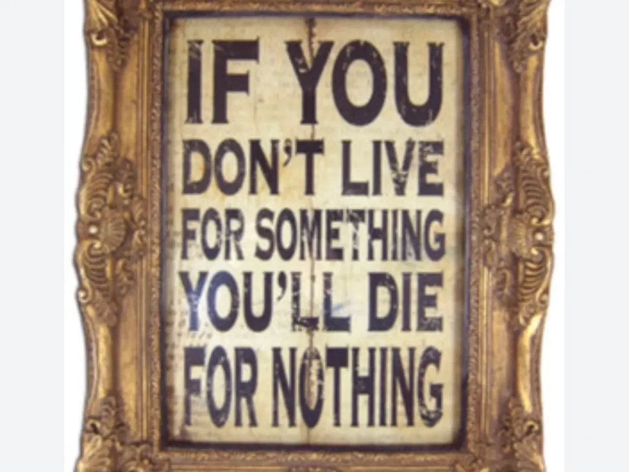 Billede 4 - SØGER!! SØGER!!! SØGER!! 