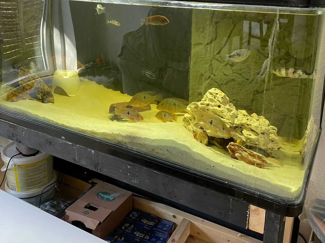 Billede 5 - 600 Liter akverie