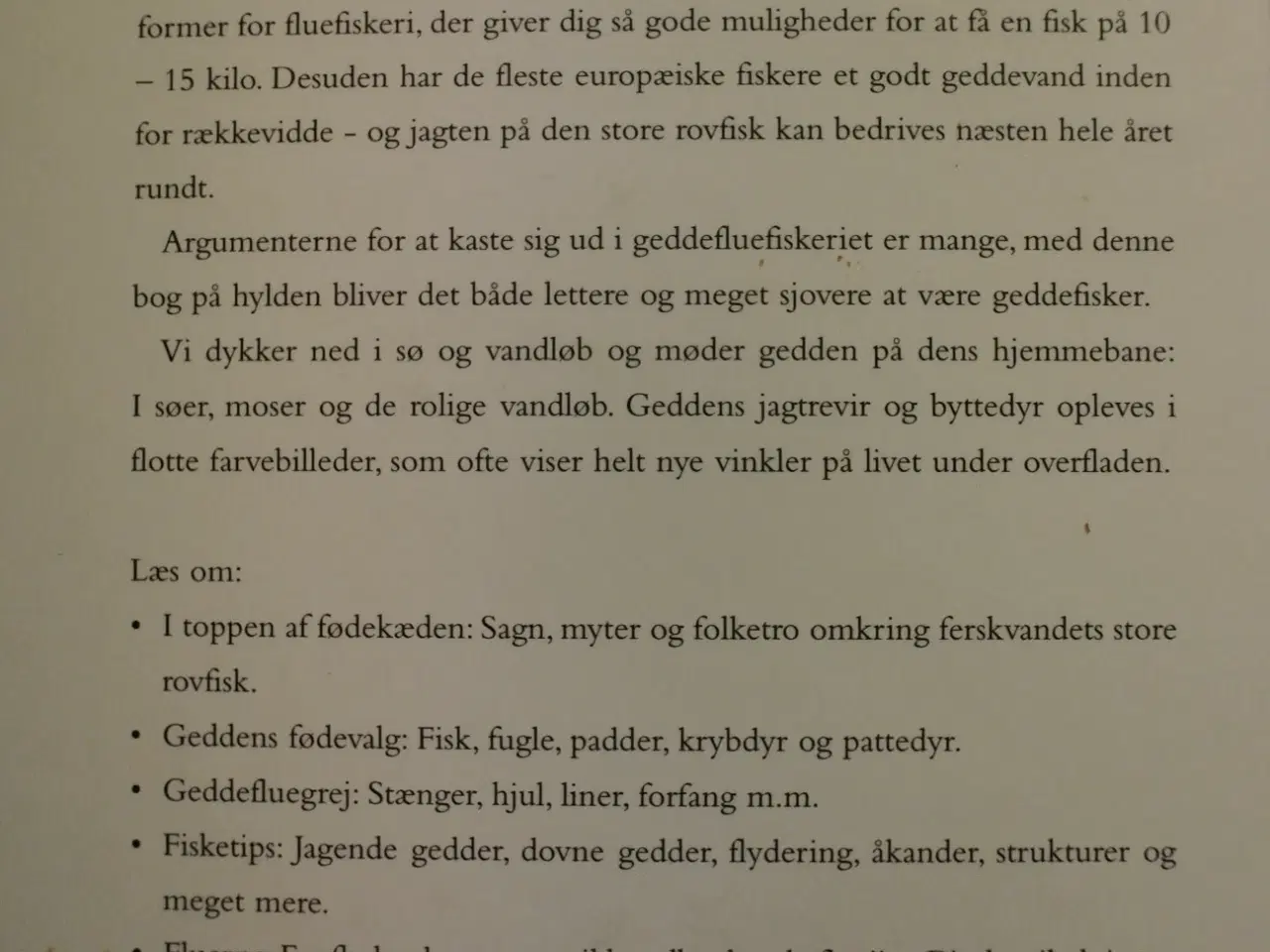 Billede 3 - fluefiskeri efter gedde  af michael jensen