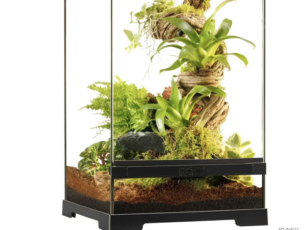 Billede 1 - Exo terra lille terrarium