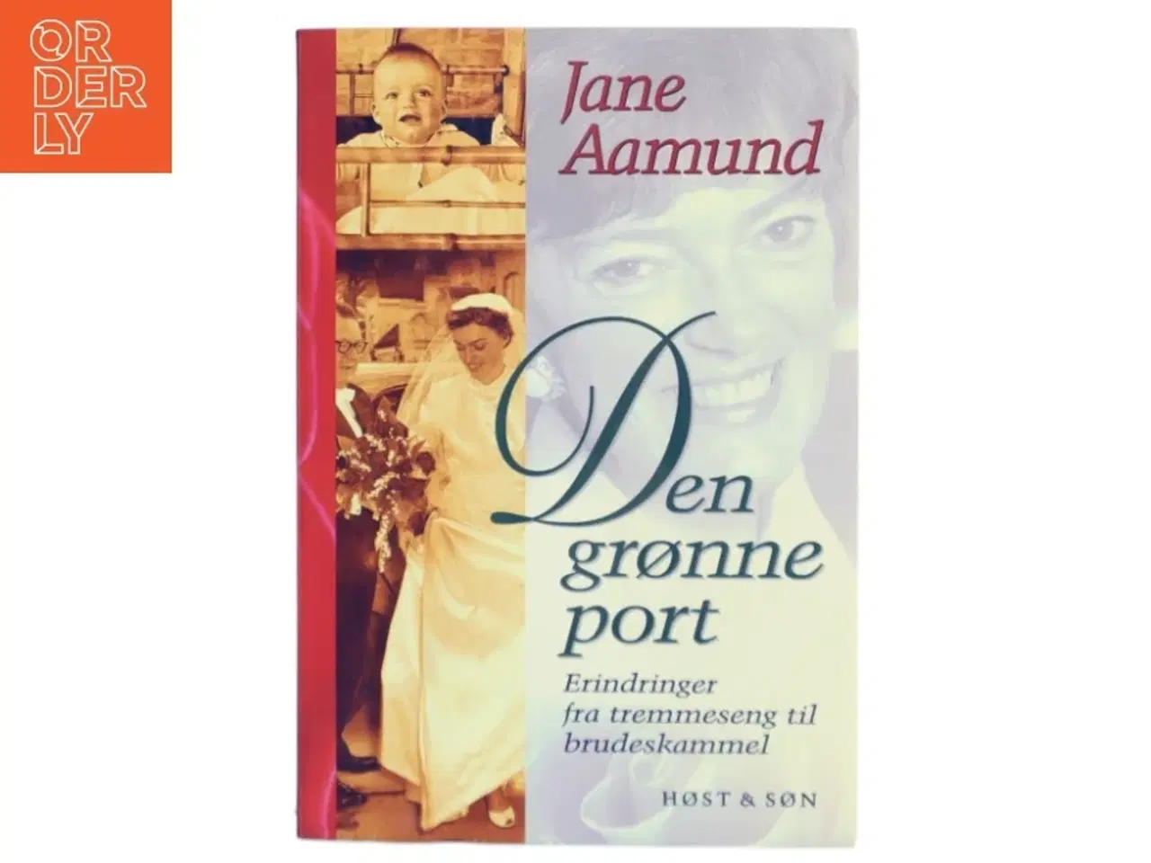 Billede 1 - Den grønne port  - Jane Aamund