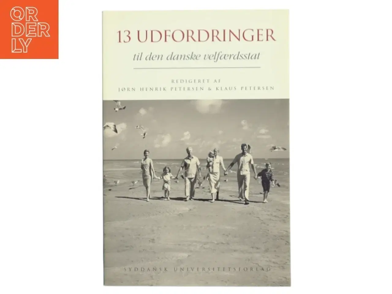 Billede 1 - 13 udfordringer til den danske velfærdsstat (Bog)