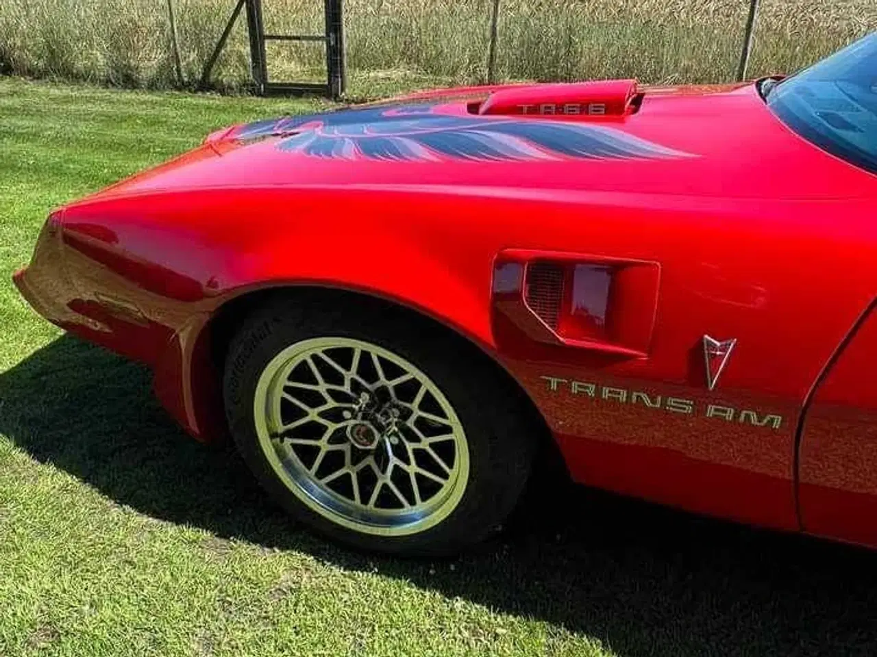 Billede 4 - Trans Am