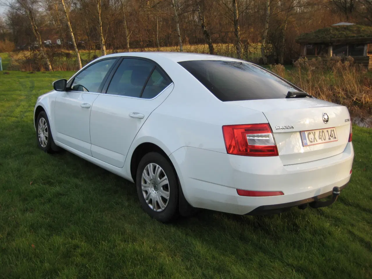 Billede 2 - Skoda octavia 1,6 tdi 2016