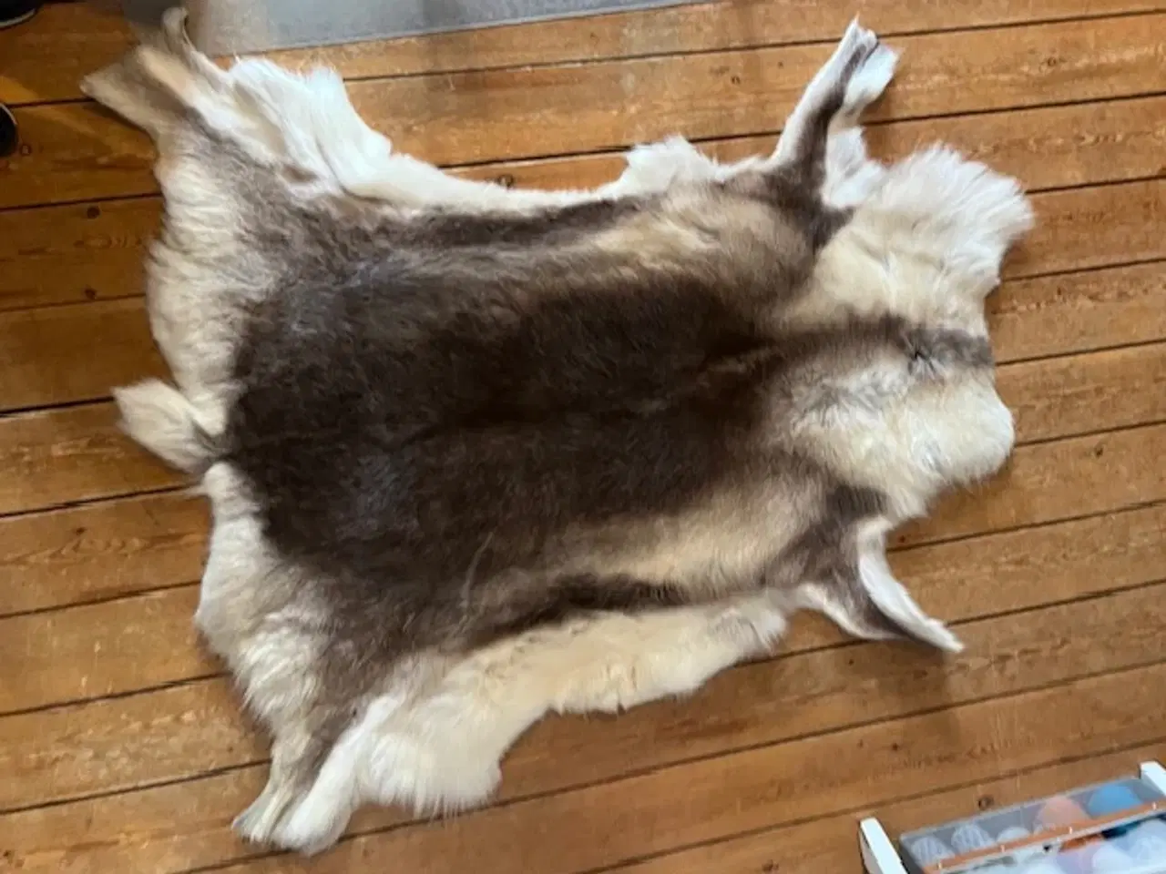 Billede 3 - Smukt og naturligt rensdyrskind – 110 x 110 cm