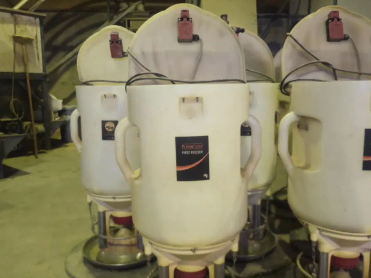 Billede 13 - DLG First Feeder