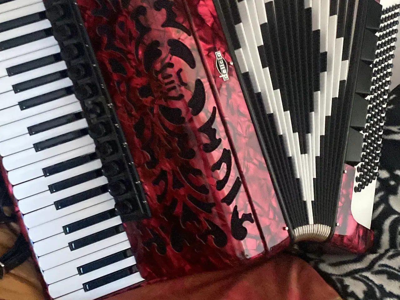 Billede 4 - Pianoharmonika Delicia