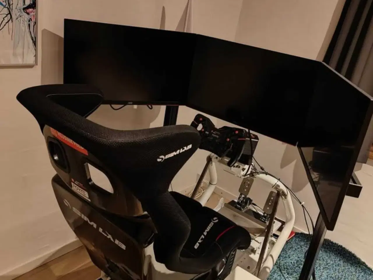 Billede 2 - Sim racing setup