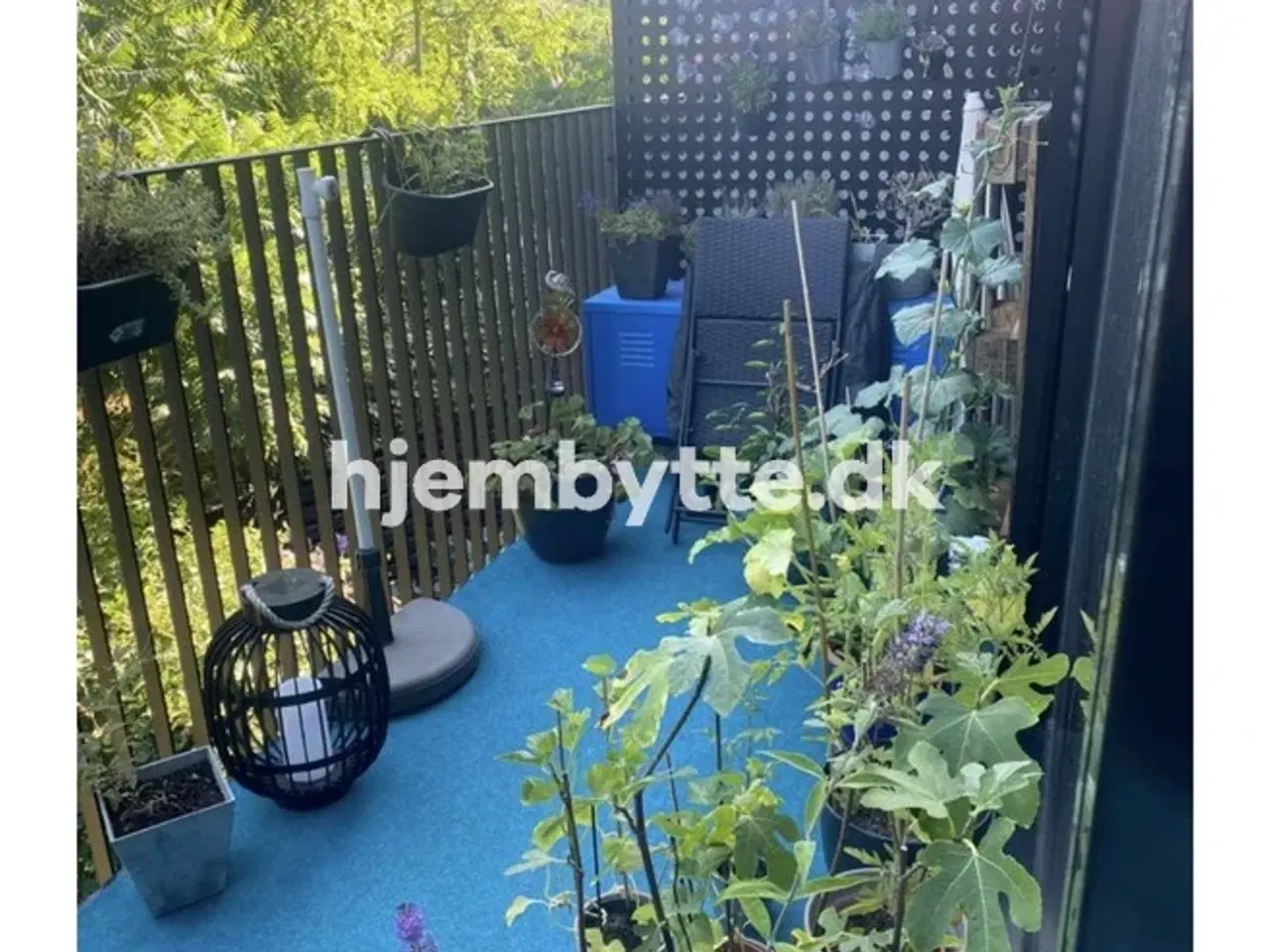 Billede 10 - Hjembytte - Emblasgade