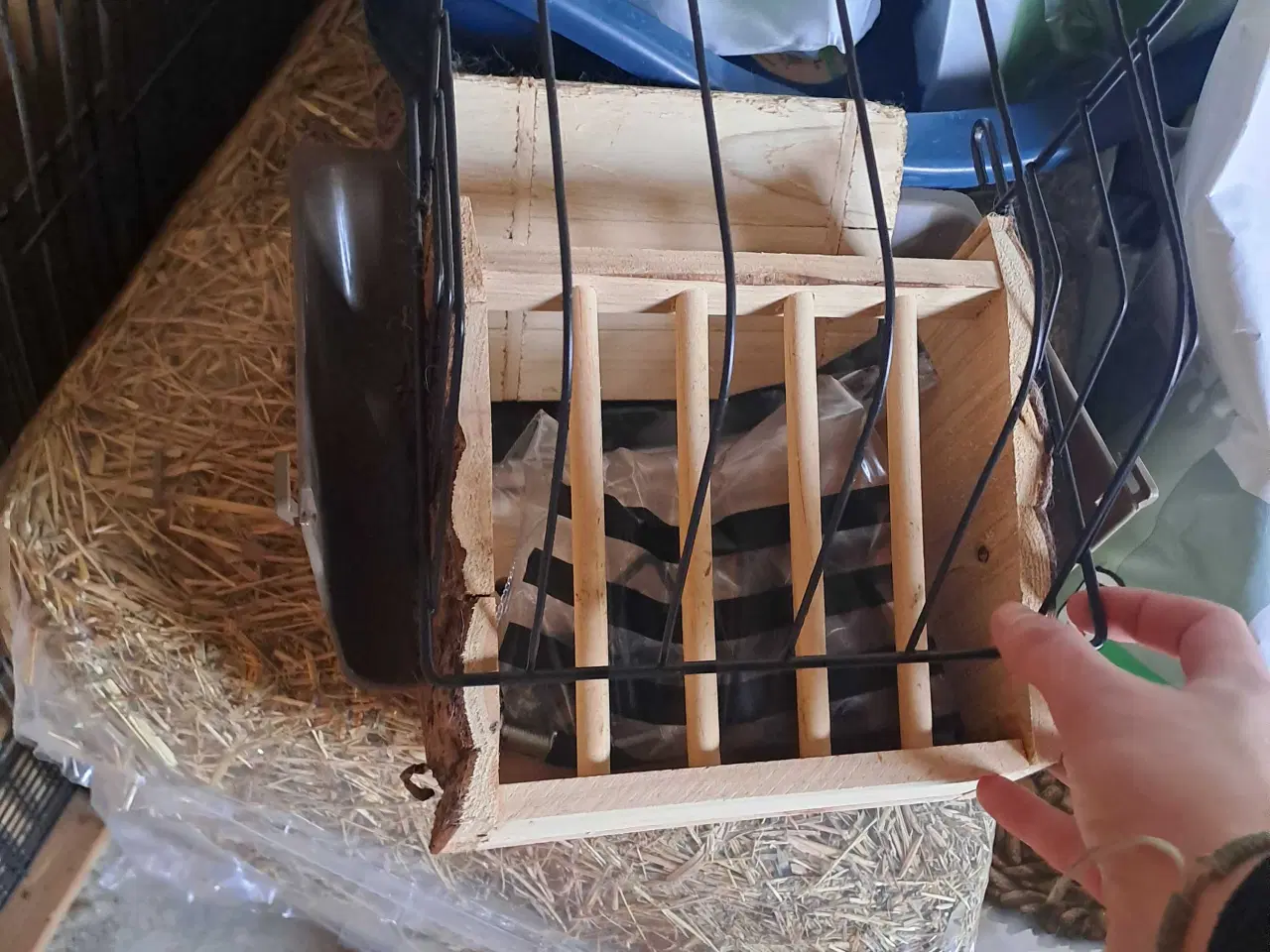 Billede 5 - Kanin med ALT tilbehør 