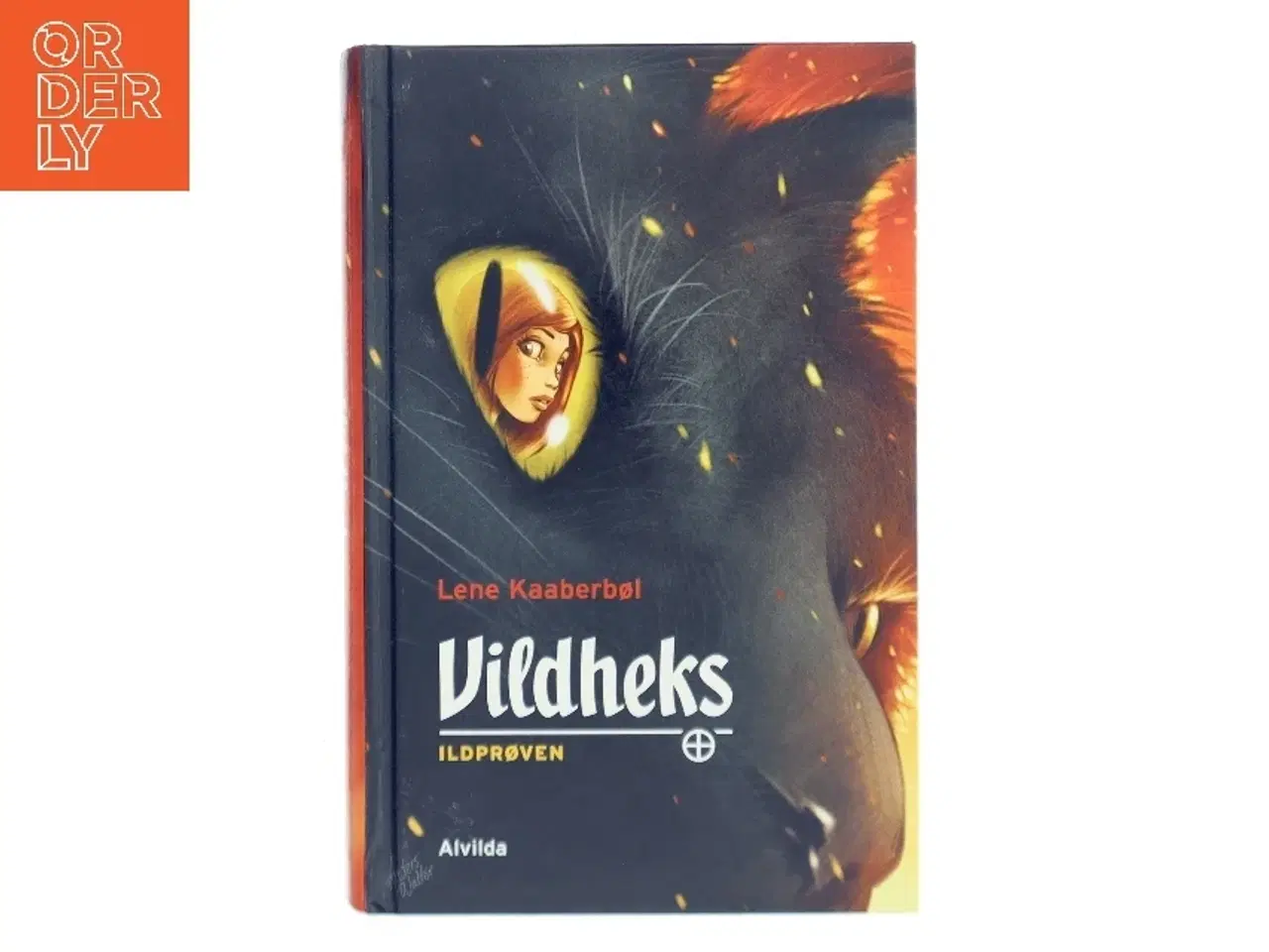 Billede 1 - Vildheks. Bind 1, Ildprøven af Lene Kaaberbøl (Bog)