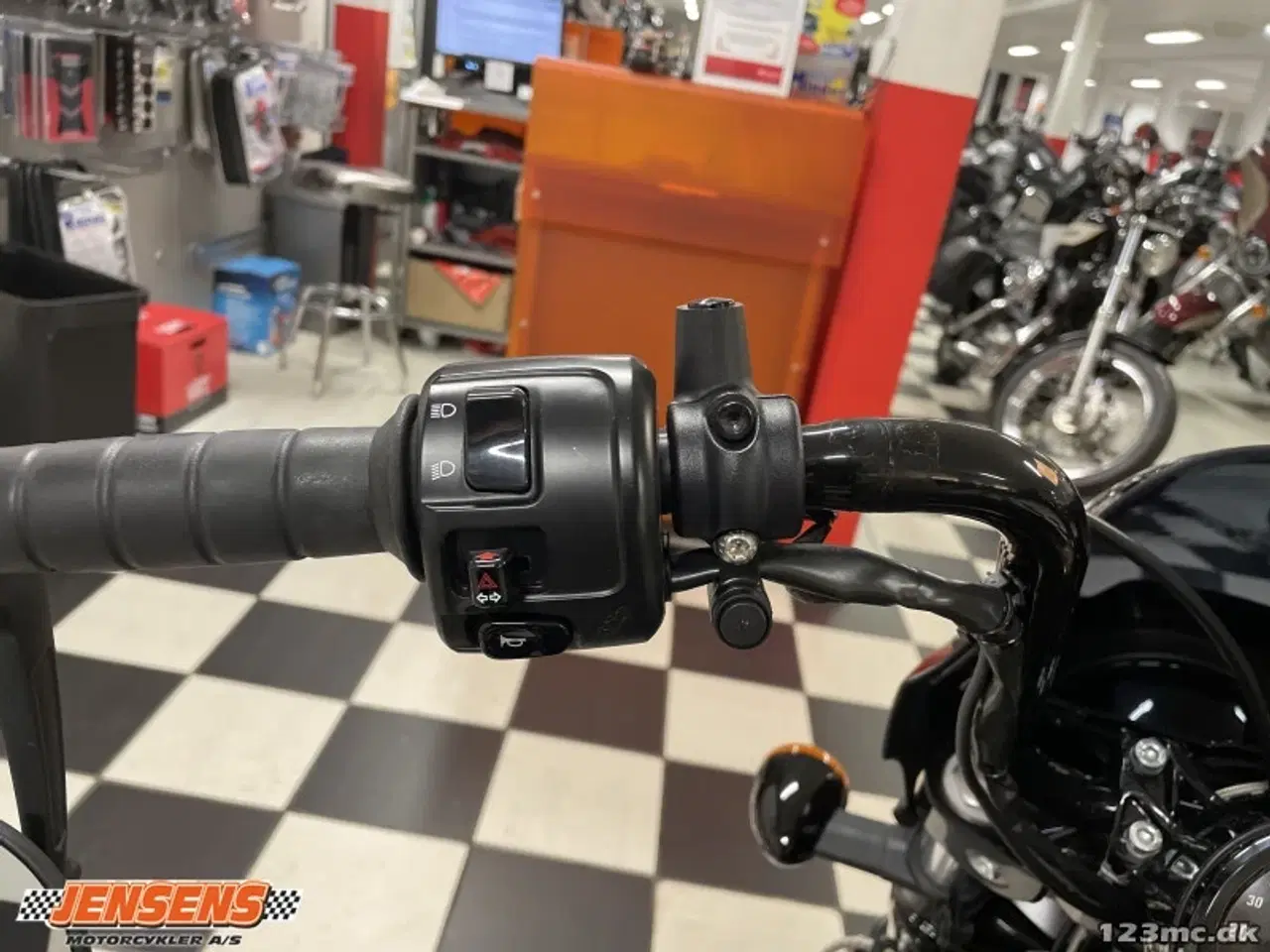 Billede 9 - Indian Scout Rogue