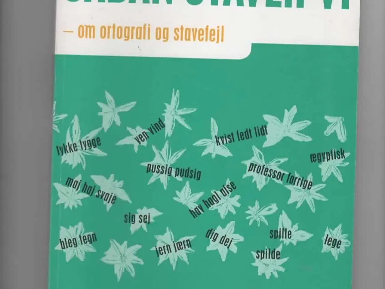 Billede 1 - stavning