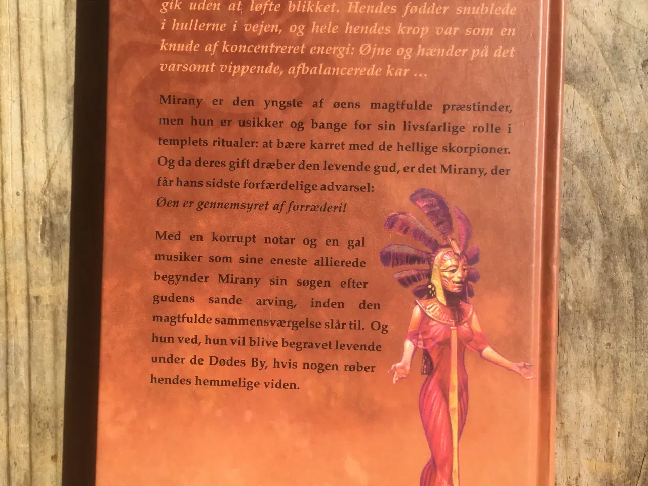 Billede 2 - Oraklet, Catherine Fisher, genre: fantasy