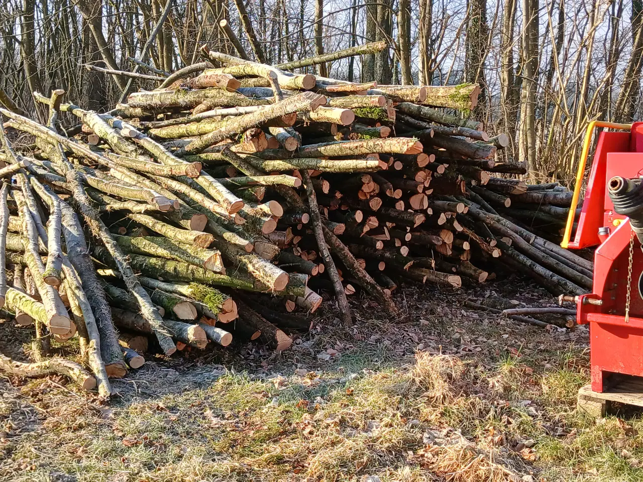 Billede 1 - Brænde af birketræ