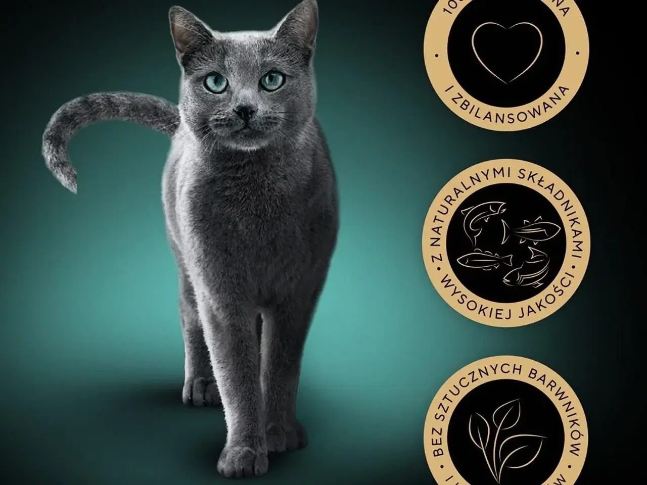 Billede 5 - Vådfoder til kat – Sheba Sauce Collection Fiskesmage, 40×85 g