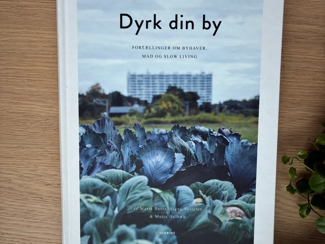 Billede 1 - Dyrk din by 