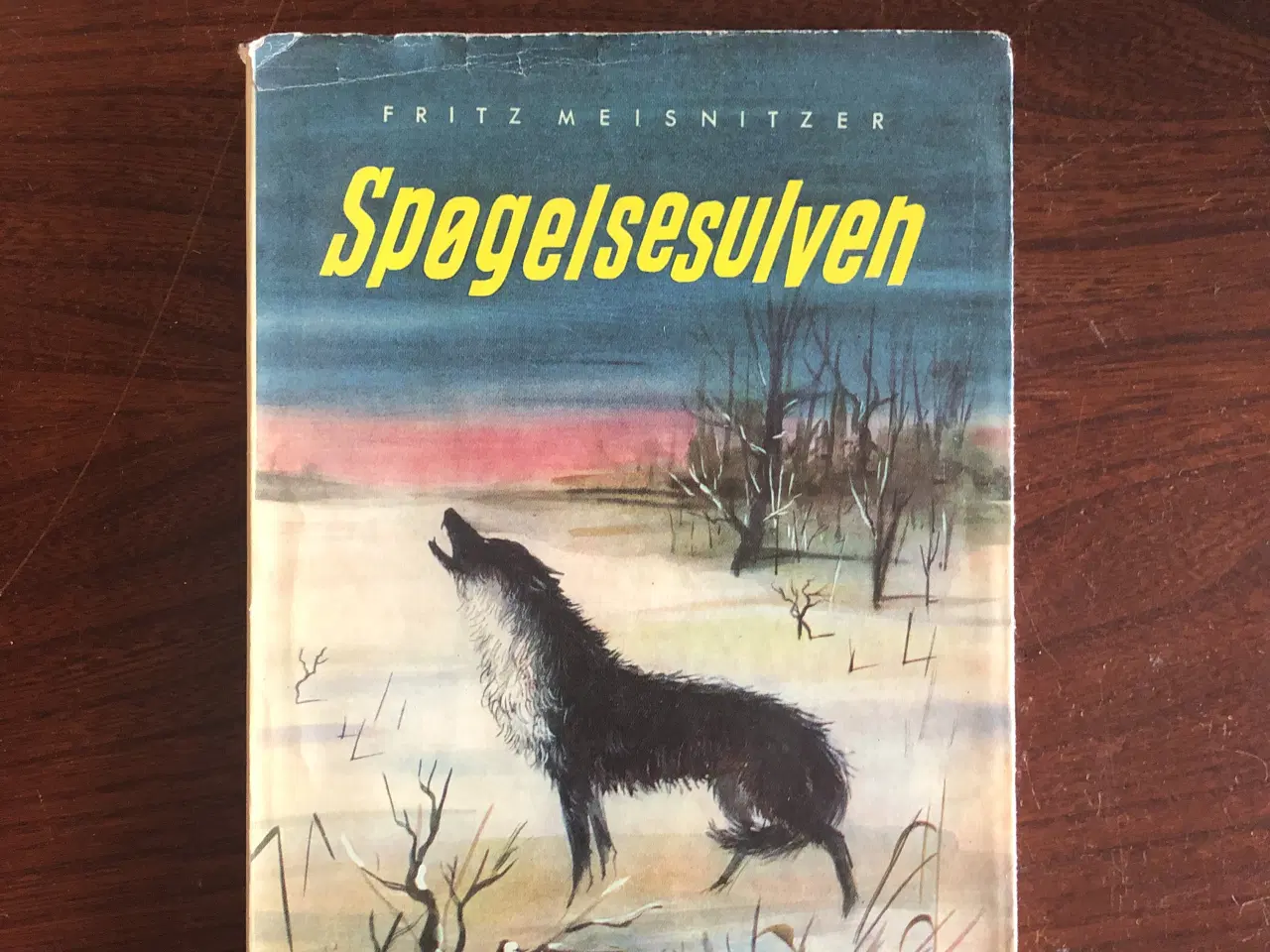 Billede 1 - Fritz Meisnitzer: Spøgelsesulven