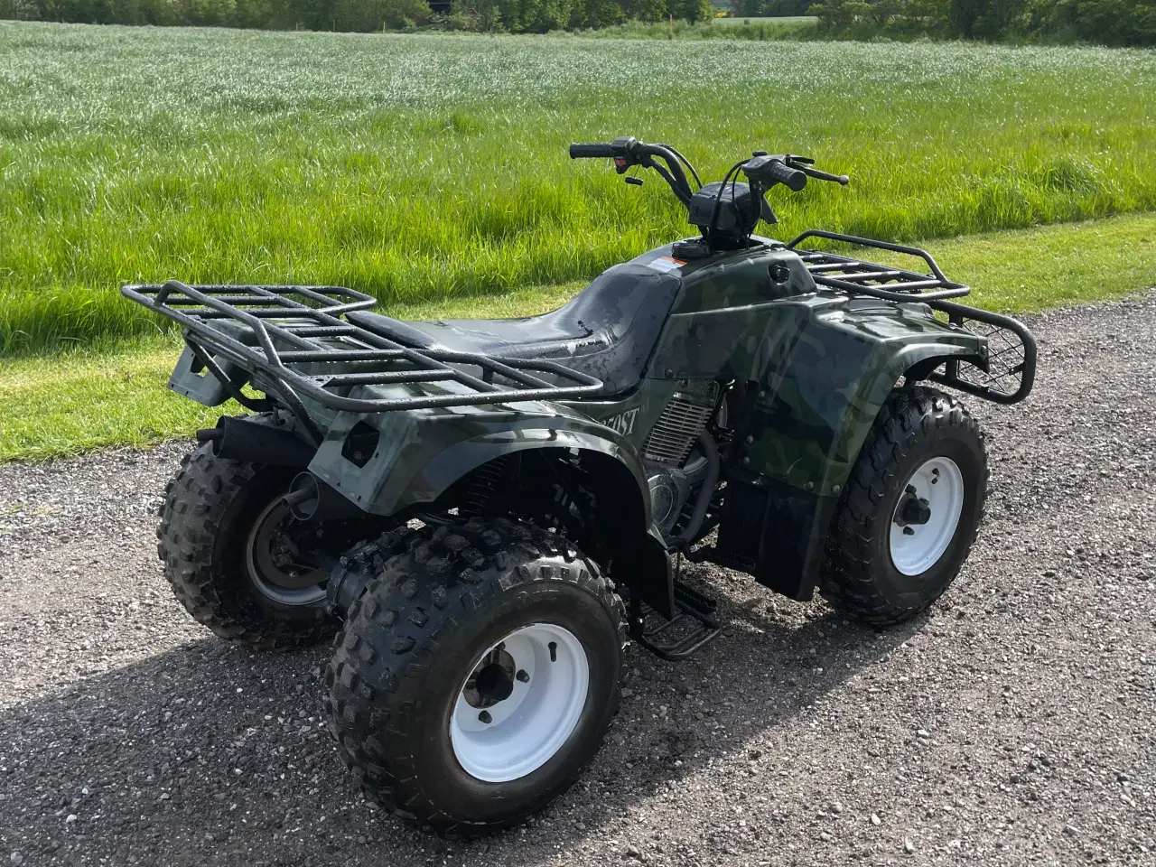 Billede 5 - Stor Atv 250cc kazuma hunter