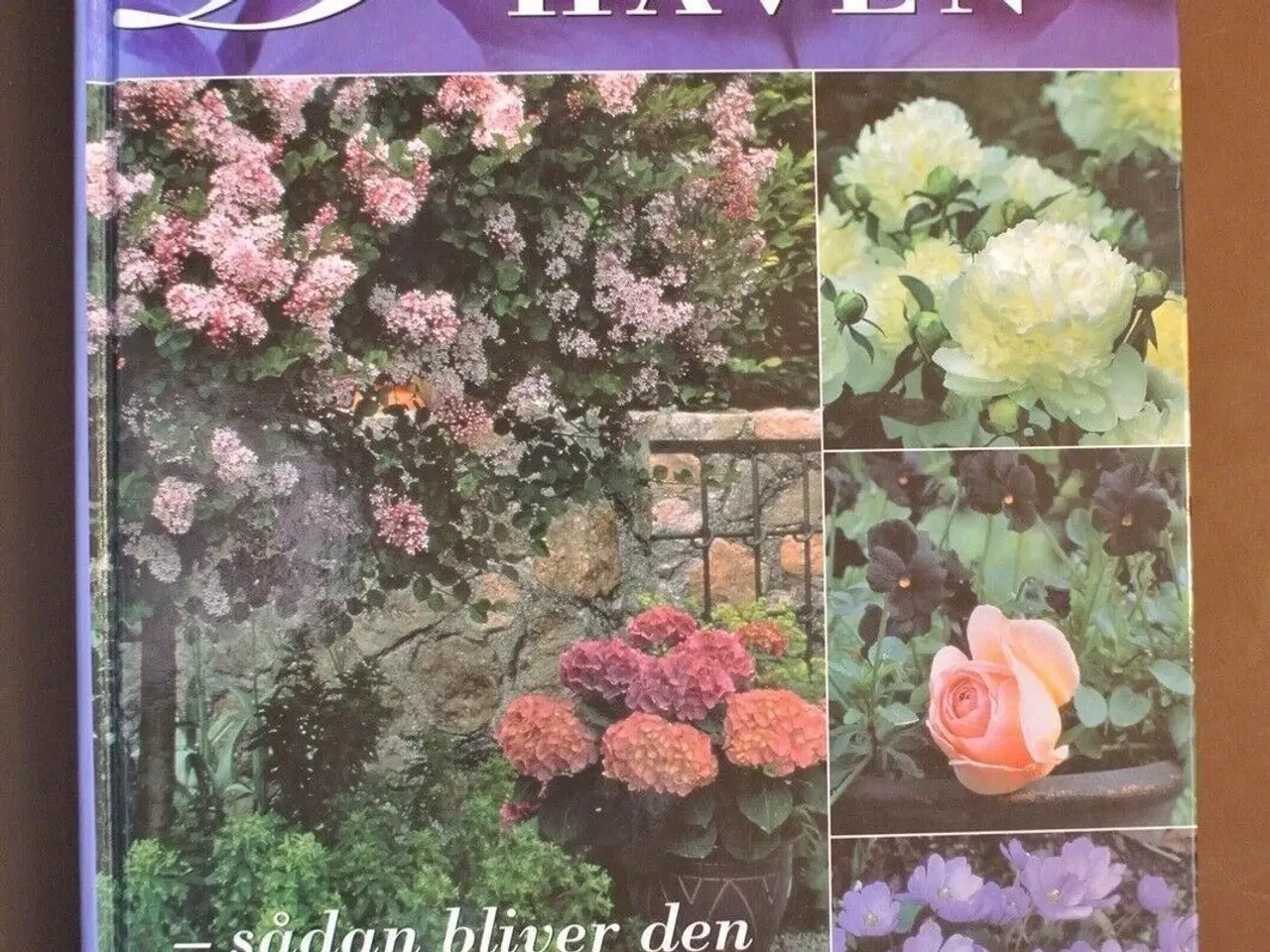 Billede 1 - drømmehaven - sådan bliver den til virkelighed, Af