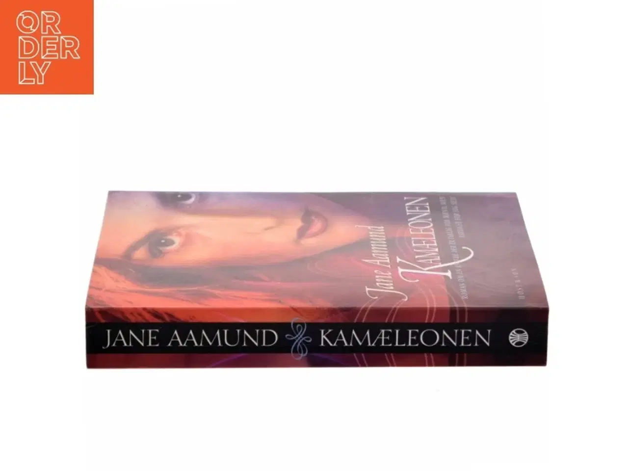 Billede 2 - Kamæleonen : roman om en kvinde, der er farlig for mænd, men farligst for sig selv af Jane Aamund (Bog)