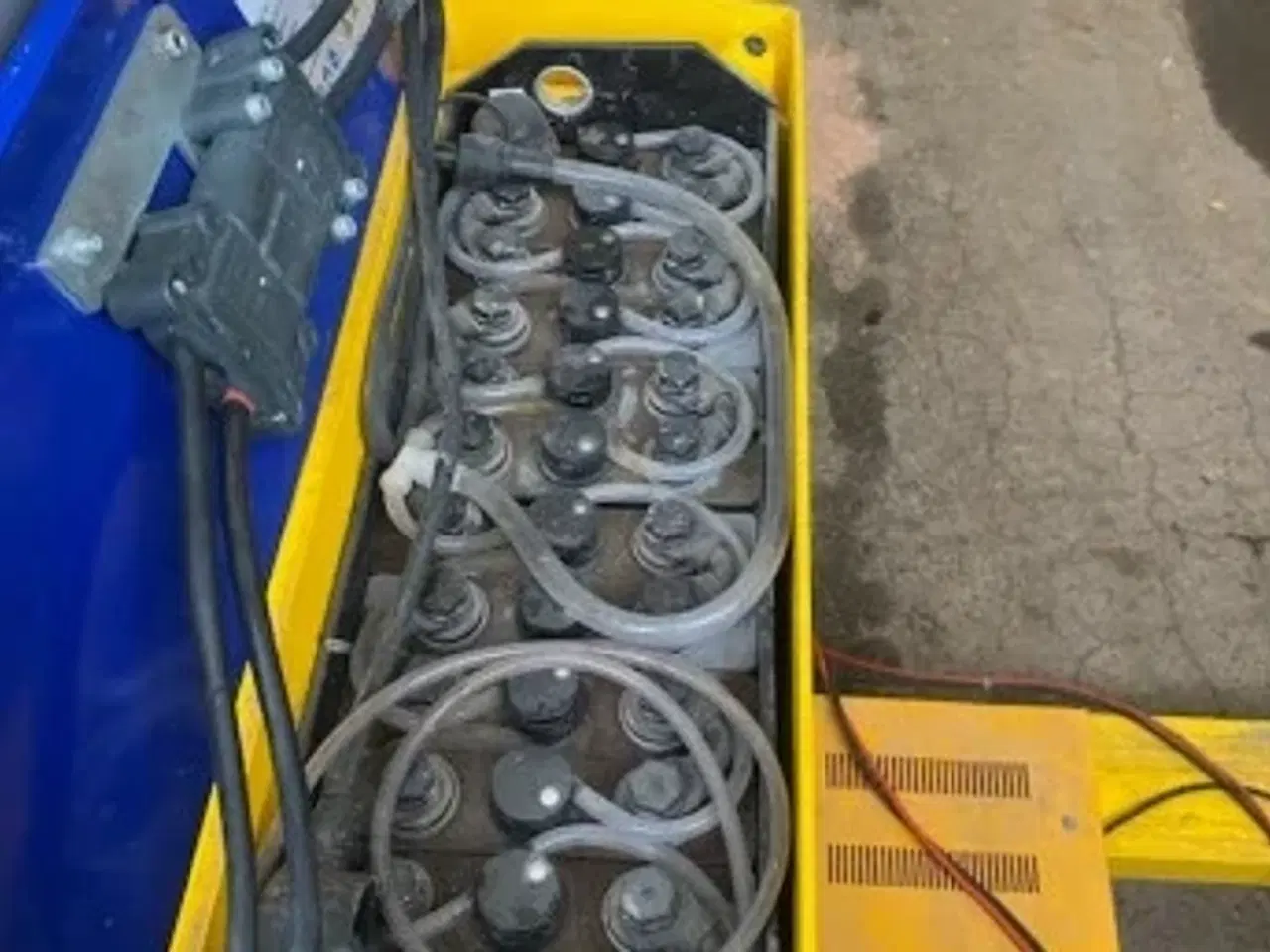 Billede 5 - Elhund Støcklin