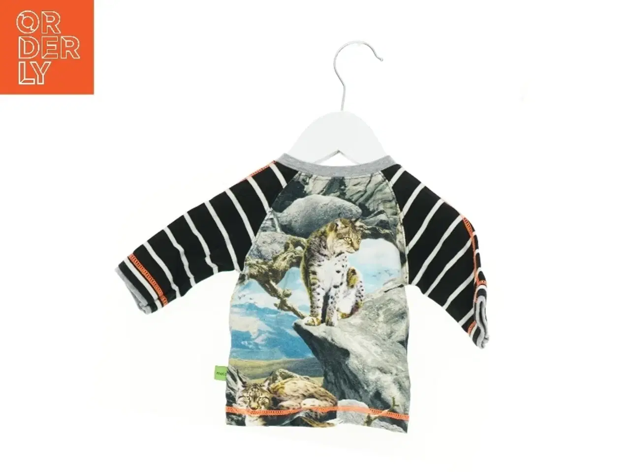 Billede 1 - T-Shirt fra Molo (str. 56 cm)