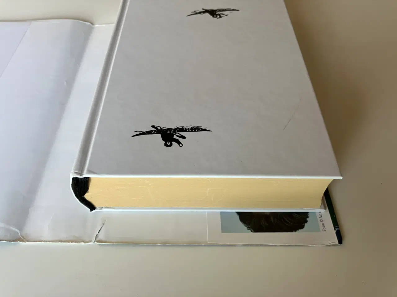 Billede 8 - Profeterne i evighedsfjorden. Af Kim Leine