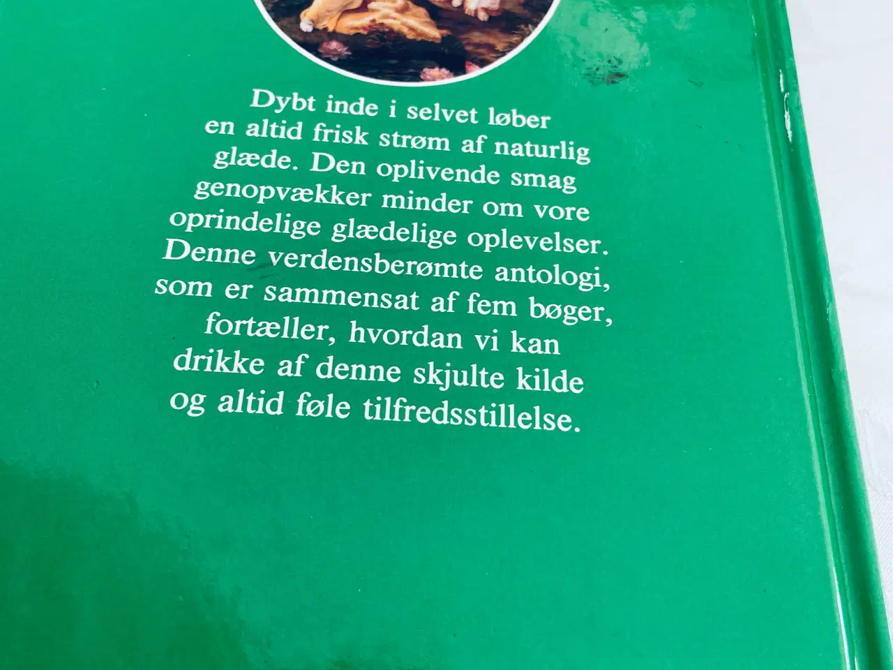 Billede 2 - Naturlig glæde 