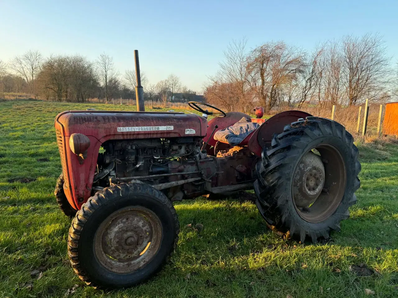 Billede 9 - 🚜 Massey Ferguson 35 benzin – kørende projekt 
