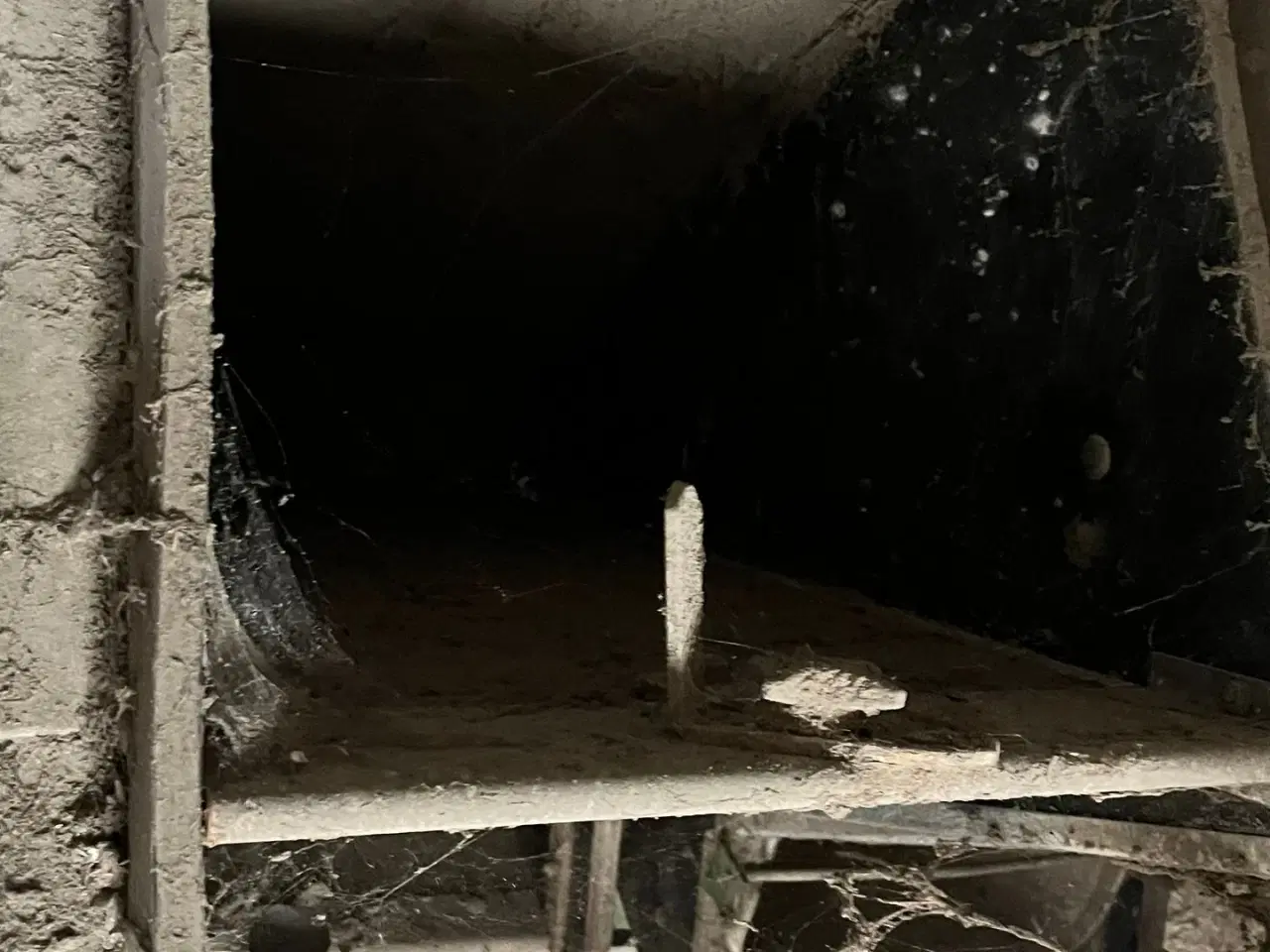 Billede 4 - - - - til kvæg