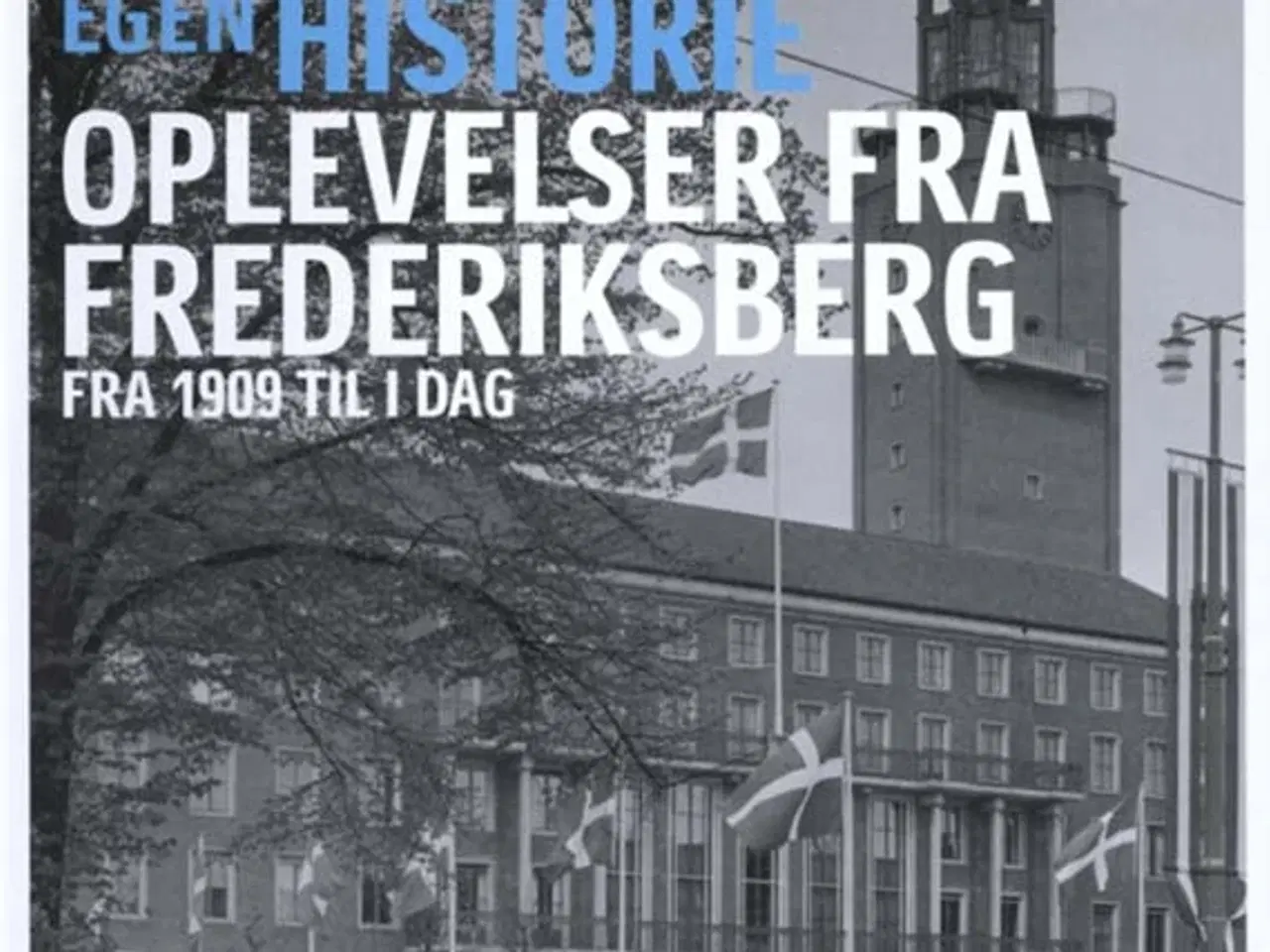 Billede 3 - Danskernes Egen Historie - Københavnerboksen 1 - 4